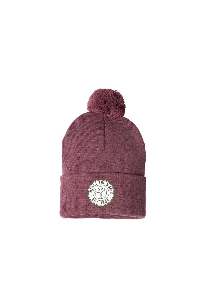 World Patch Impact Beanie the